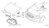 Diagram for Infiniti G25 Hood Hinge - 65400-JK00A