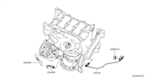 Diagram for Infiniti QX30 Oxygen Sensor - 226A0-5DD0A