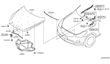 Diagram for 2011 Infiniti EX35 Hood Hinge - 65401-1BA0A