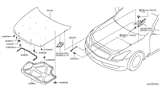 Diagram for Infiniti Lift Support - 65470-JL00A