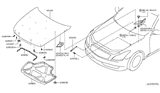 Diagram for 2009 Infiniti G37 Hood Hinge - 65401-JL01B