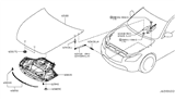 Diagram for 2016 Infiniti Q70 Lift Support - 65470-1MA0A