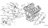 Diagram for Infiniti M56 Oil Cooler Hose - 21306-1CA0D