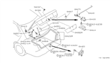 Diagram for 1994 Infiniti G20 Tailgate Lift Support - 84430-50J28