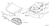 Diagram for Infiniti Hood Hinge - 65400-EJ70A