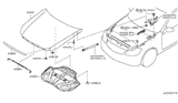 Diagram for 2006 Infiniti M35 Hood Hinge - 65400-EG000