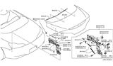 Diagram for Infiniti Lift Support - 84430-JJ51A