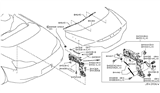 Diagram for 2011 Infiniti G37 Lift Support - 84430-JJ51A