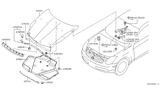 Diagram for Infiniti Hood - 65100-AM830