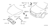 Diagram for 2019 Infiniti QX50 Hood Hinge - 65400-5NN0A