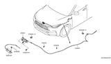 Diagram for 2020 Infiniti QX50 Hood Cable - 65621-5NA0A