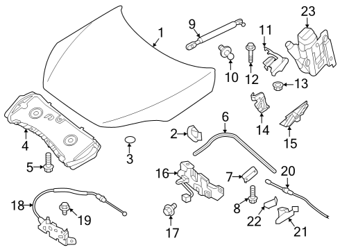 2024 Infiniti QX55 Hood & Components Diagram