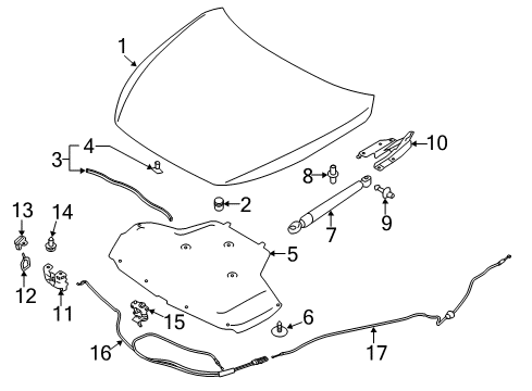 2020 Infiniti Q50 Hood & Components Diagram