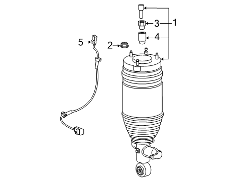 2025 Infiniti QX80 Shocks & Components - Front Diagram 3
