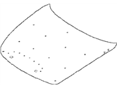 Infiniti F510M-JK0M0 HOOD