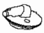 Infiniti 24260-4GA1C Grommet