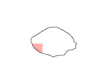 84960-3Y100 Infiniti Cover-Spare Wheel Illustration 1 of 1