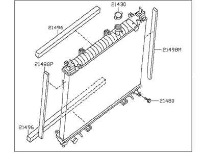 2009 Infiniti QX56 Radiator - 21460-9FD1B