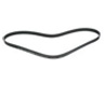 Infiniti M56 Drive Belt