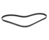 Drive Belt